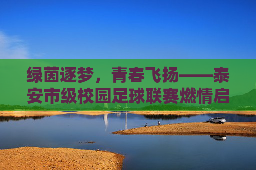 绿茵逐梦，青春飞扬——泰安市级校园足球联赛燃情启幕，泰安市级校园足球联赛燃情启幕，绿茵逐梦青春飞扬