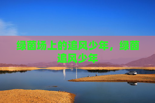 绿茵场上的追风少年，绿茵追风少年