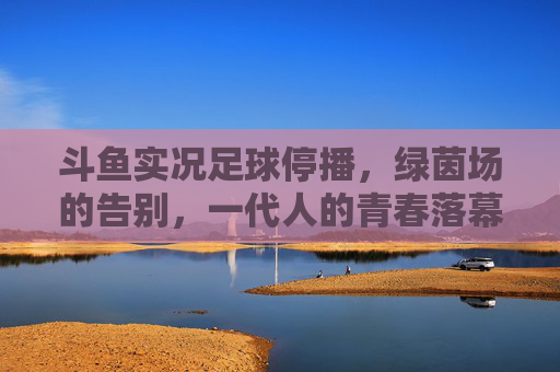 斗鱼实况足球停播，绿茵场的告别，一代人的青春落幕，斗鱼实况足球停播，一代人的绿茵青春落幕