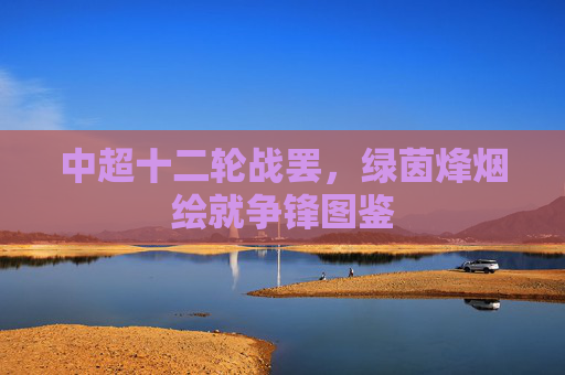 中超十二轮战罢，绿茵烽烟绘就争锋图鉴