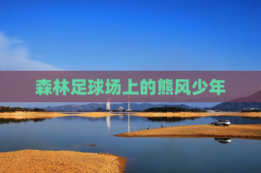 森林足球场上的熊风少年 森林足球场上的熊风少年