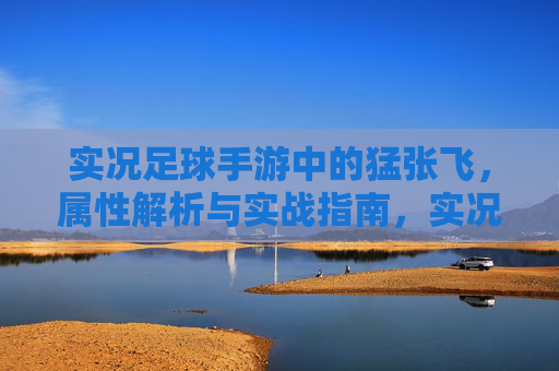 实况足球手游中的猛张飞，属性解析与实战指南，实况足球手游猛张飞，属性解析与实战指南