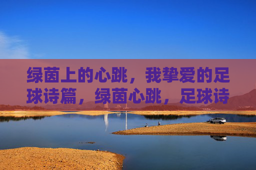绿茵上的心跳，我挚爱的足球诗篇，绿茵心跳，足球诗篇