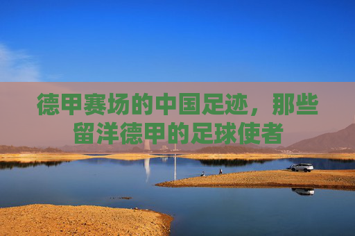 德甲赛场的中国足迹，那些留洋德甲的足球使者