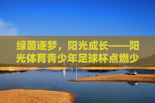 绿茵逐梦，阳光成长——阳光体育青少年足球杯点燃少年足球热情