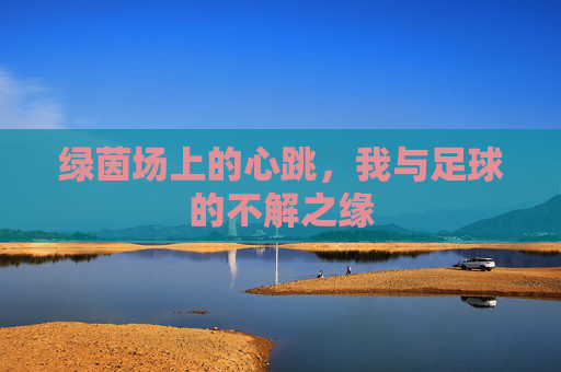 绿茵场上的心跳，我与足球的不解之缘