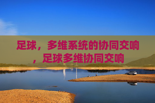 足球，多维系统的协同交响，足球多维协同交响