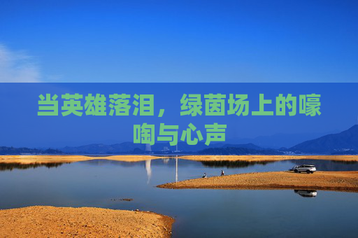 当英雄落泪，绿茵场上的嚎啕与心声
