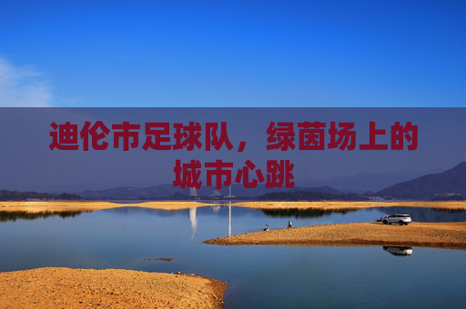 迪伦市足球队，绿茵场上的城市心跳