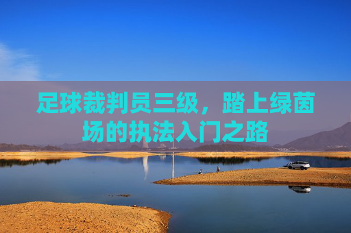足球裁判员三级，踏上绿茵场的执法入门之路