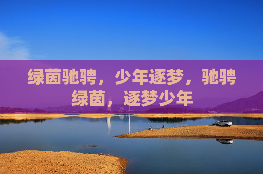 绿茵驰骋,少年逐梦,驰骋绿茵,逐梦少年 绿茵驰骋,少年逐梦,驰骋绿茵,逐梦少年