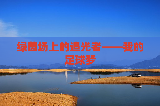 绿茵场上的追光者——我的足球梦