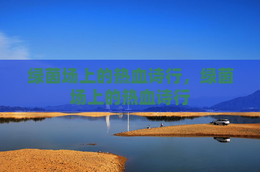 绿茵场上的热血诗行，绿茵场上的热血诗行
