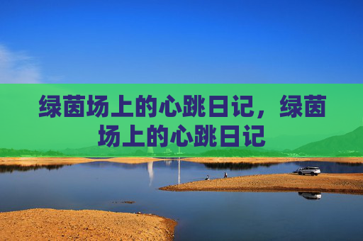 绿茵场上的心跳日记，绿茵场上的心跳日记