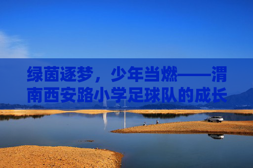 绿茵逐梦，少年当燃——渭南西安路小学足球队的成长足迹