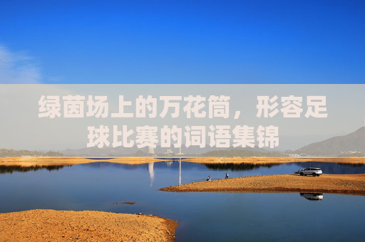 绿茵场上的万花筒，形容足球比赛的词语集锦