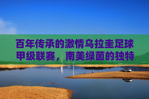 百年传承的激情乌拉圭足球甲级联赛，南美绿茵的独特魅力
