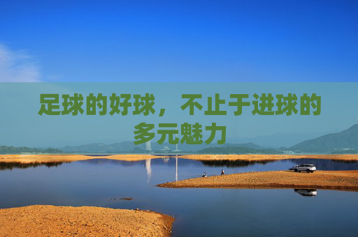 足球的好球，不止于进球的多元魅力