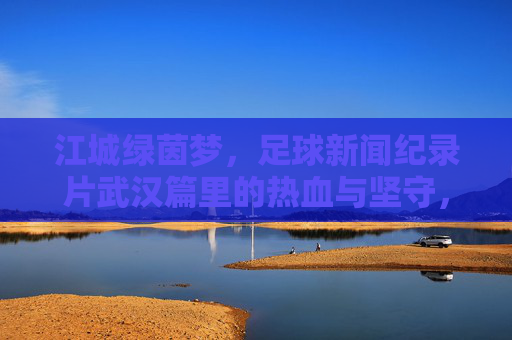 江城绿茵梦,足球新闻纪录片武汉篇里的热血与坚守,江城绿茵梦,武汉足球的热血与坚守 江城绿茵梦,足球新闻纪录片武汉篇里的热血与坚守,江城绿茵梦,武汉足球的热血与坚守