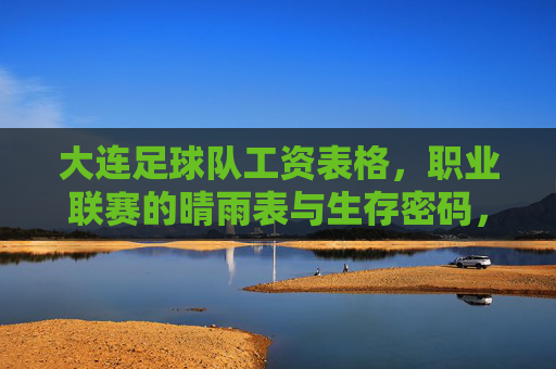 大连足球队工资表格，职业联赛的晴雨表与生存密码，大连队工资表，职业联赛的晴雨表与生存密码