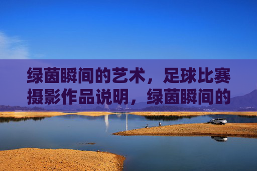 绿茵瞬间的艺术，足球比赛摄影作品说明，绿茵瞬间的艺术，足球比赛摄影作品说明