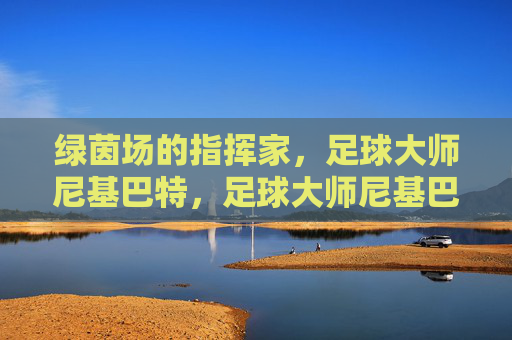 绿茵场的指挥家,足球大师尼基巴特,足球大师尼基巴特,绿茵场的指挥家 绿茵场的指挥家,足球大师尼基巴特,足球大师尼基巴特,绿茵场的指挥家