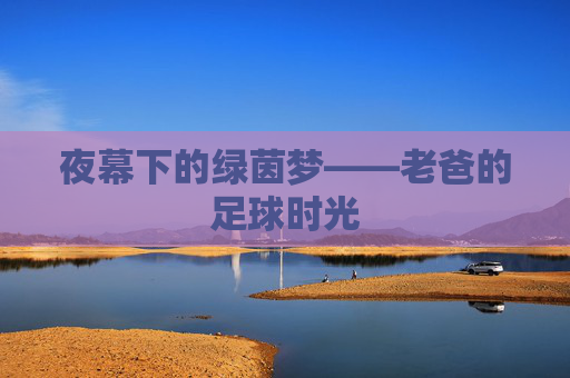 夜幕下的绿茵梦——老爸的足球时光