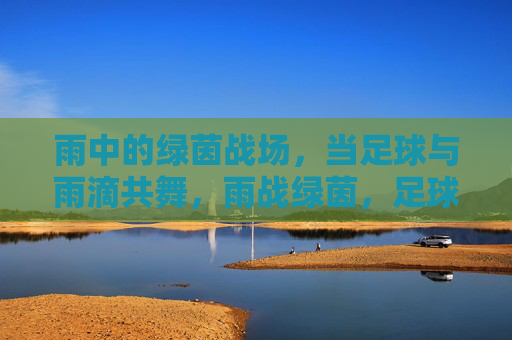 雨中的绿茵战场，当足球与雨滴共舞，雨战绿茵，足球与雨滴共舞