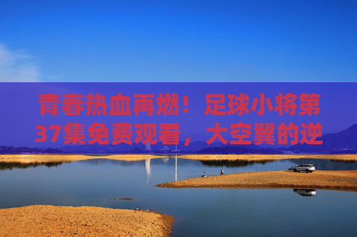 青春热血再燃！足球小将第37集免费观看，大空翼的逆风球你追了吗？足球小将第37集免费看！大空翼逆风球燃爆青春热血
