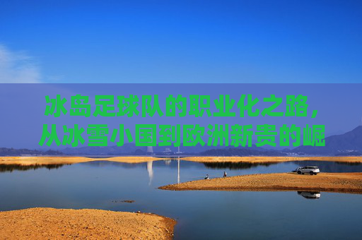 冰岛足球队的职业化之路，从冰雪小国到欧洲新贵的崛起密码，冰岛足球职业化，冰雪小国的欧洲新贵崛起密码