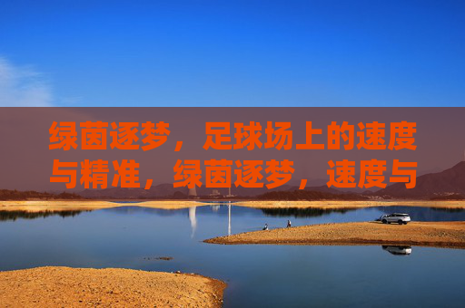 绿茵逐梦，足球场上的速度与精准，绿茵逐梦，速度与精准的赛场锋芒