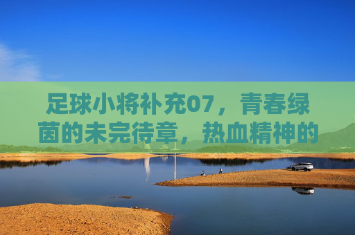足球小将补充07，青春绿茵的未完待章，热血精神的世纪回响