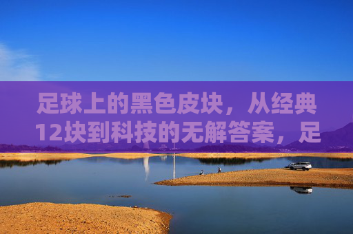 足球上的黑色皮块,从经典12块到科技的无解答案,足球黑色皮块,从经典12块到科技的无解答案 足球上的黑色皮块,从经典12块到科技的无解答案,足球黑色皮块,从经典12块到科技的无解答案