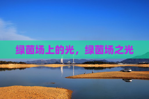 绿茵场上的光，绿茵场之光