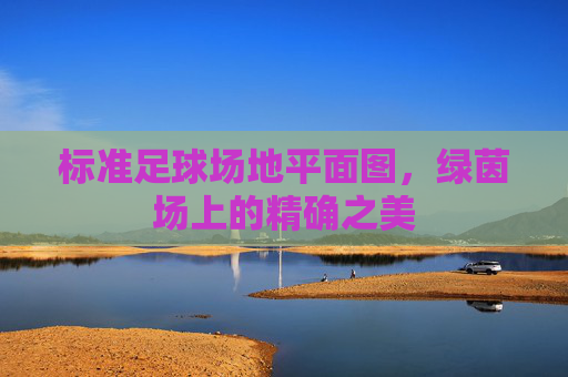 标准足球场地平面图，绿茵场上的精确之美