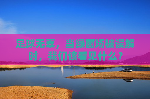 足球无辜，当绿茵场被误解时，我们该看见什么？