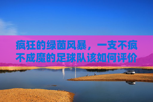 疯狂的绿茵风暴,一支不疯不成魔的足球队该如何评价?不疯不成魔,绿茵风暴中的极致足球队 疯狂的绿茵风暴,一支不疯不成魔的足球队该如何评价?不疯不成魔,绿茵风暴中的极致足球队