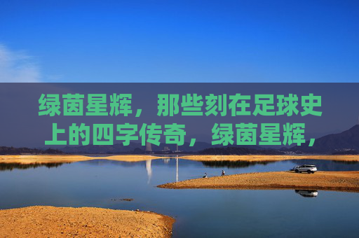 绿茵星辉,那些刻在足球史上的四字传奇,绿茵星辉,刻在足球史上的四字传奇 绿茵星辉,那些刻在足球史上的四字传奇,绿茵星辉,刻在足球史上的四字传奇