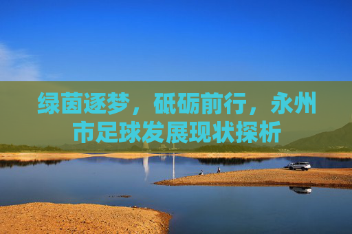 绿茵逐梦，砥砺前行，永州市足球发展现状探析
