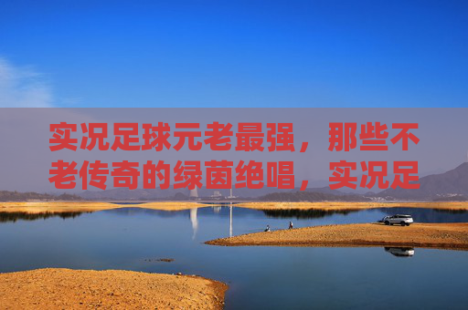 实况足球元老最强,那些不老传奇的绿茵绝唱,实况足球元老最强,不老传奇的绿茵绝唱 实况足球元老最强,那些不老传奇的绿茵绝唱,实况足球元老最强,不老传奇的绿茵绝唱