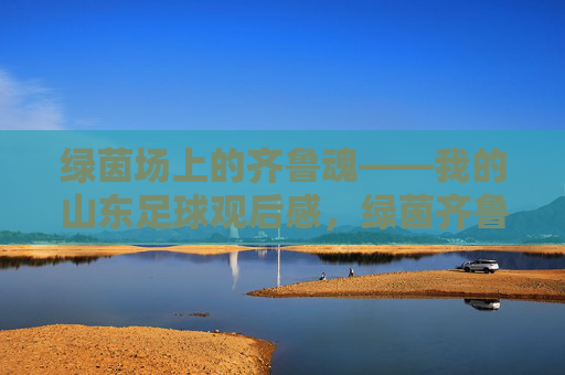 绿茵场上的齐鲁魂——我的山东足球观后感,绿茵齐鲁魂,山东足球印象 绿茵场上的齐鲁魂——我的山东足球观后感,绿茵齐鲁魂,山东足球印象