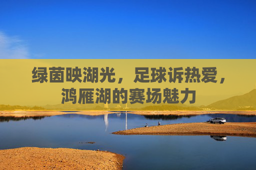 绿茵映湖光，足球诉热爱，鸿雁湖的赛场魅力