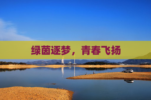 绿茵逐梦，青春飞扬