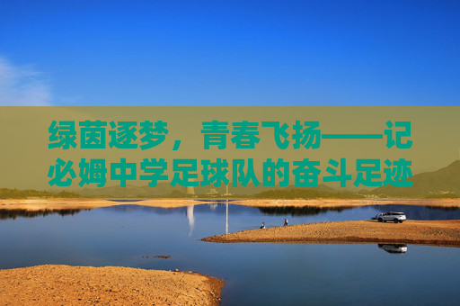 绿茵逐梦，青春飞扬——记必姆中学足球队的奋斗足迹，绿茵逐梦，青春飞扬——必姆中学足球队奋斗足迹