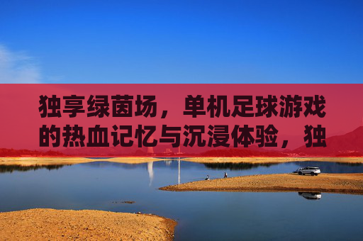 独享绿茵场,单机足球游戏的热血记忆与沉浸体验,独享绿茵,单机足球的热血沉浸记忆 独享绿茵场,单机足球游戏的热血记忆与沉浸体验,独享绿茵,单机足球的热血沉浸记忆