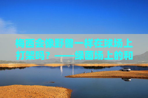 梅西会像野兽一样在球场上打架吗？——绿茵场上的和平使者与争议瞬间，梅西球场野兽打架，和平使者与争议