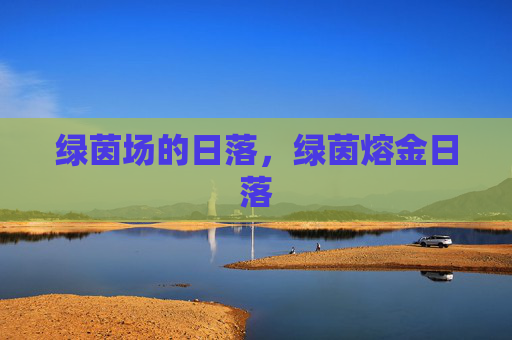 绿茵场的日落，绿茵熔金日落