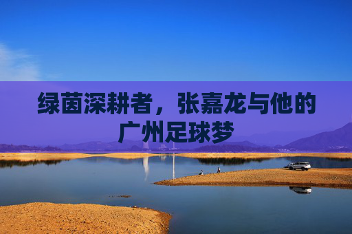绿茵深耕者，张嘉龙与他的广州足球梦