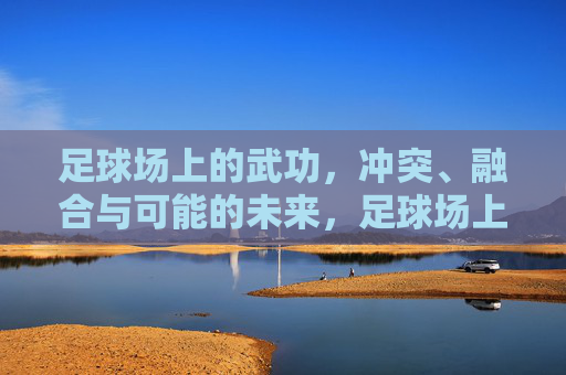 足球场上的武功,冲突、融合与可能的未来,足球场上的武功,冲突、融合与未来 足球场上的武功,冲突、融合与可能的未来,足球场上的武功,冲突、融合与未来