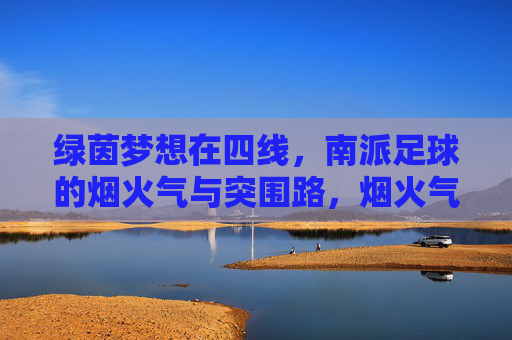 绿茵梦想在四线,南派足球的烟火气与突围路,烟火气里突围,南派足球的四线梦想路 绿茵梦想在四线,南派足球的烟火气与突围路,烟火气里突围,南派足球的四线梦想路
